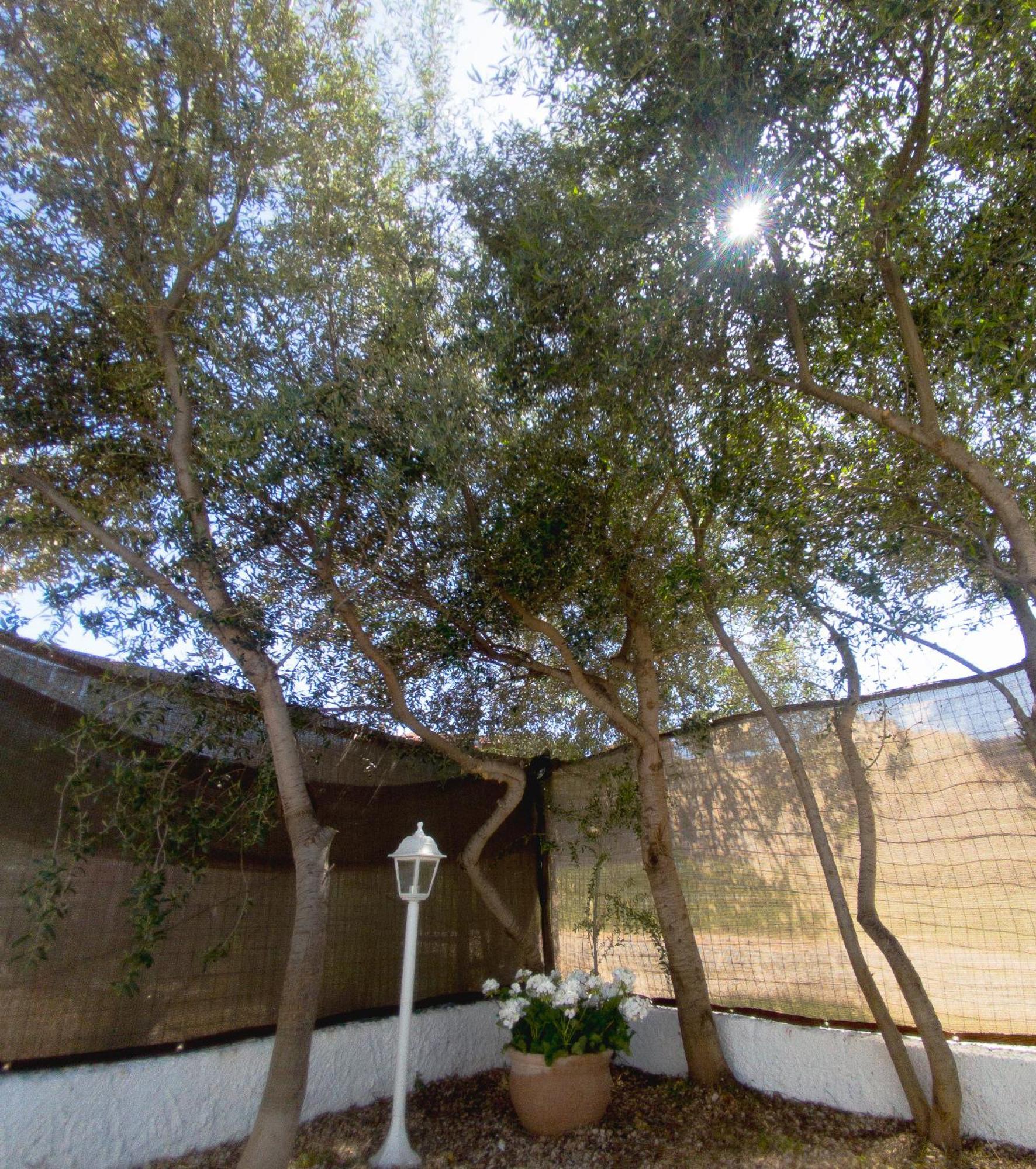 Dimora Mare Apartment San Teodoro  Bagian luar foto